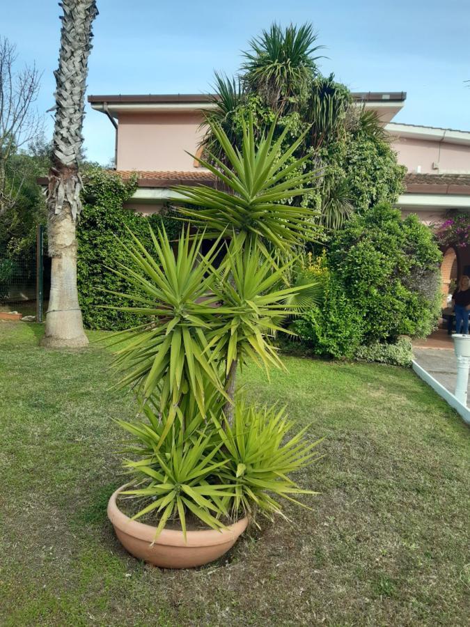 B&B Villa Giovanni Casal Palocco Bagian luar foto